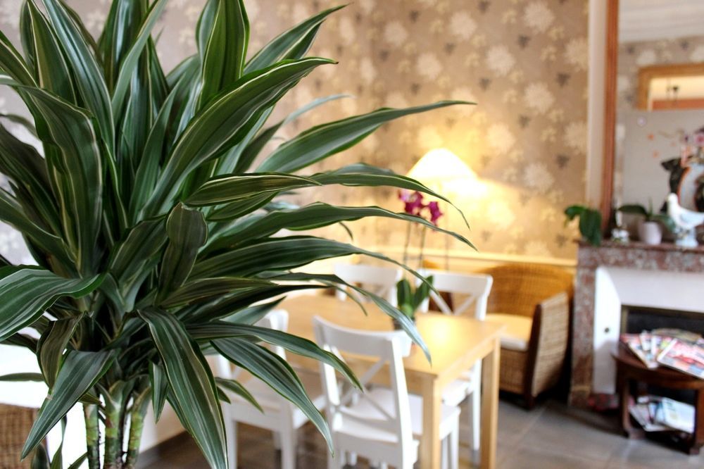 Hotel Les Aubepines Illiers-Combray エクステリア 写真